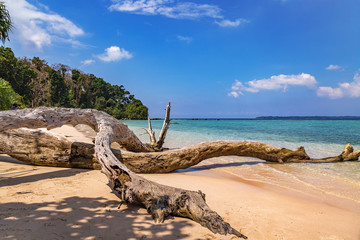 Scenic Jolly Buoy island beach at Andaman, India.