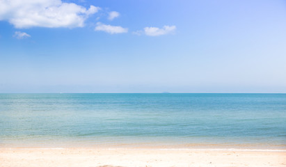 beautiful nature green palm leaf on tropical beach with abstract background