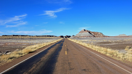 Road running through badlands landscape in Petrified Forest National Park, Arizona, USA