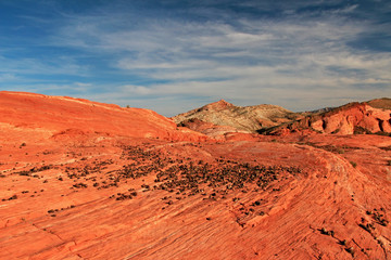 Fototapeta na wymiar Striped Rocks on Crazy Hill in Pink Canyon, near Fire Wave at sunset, Valley of Fire State Park, Nevada, USA