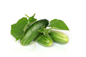 Cucumber. Fresh cucumber with leaves on a white background. Cucumber season. Healthy Eating