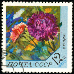 Ukraine - circa 2018: A postage stamp printed in USSR show flower Aster. Series: Flowers. Circa 1970.