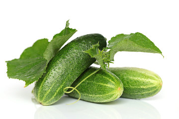 Cucumber. Fresh cucumber with leaves on a white background with reflection. Cucumber season. Healthy Eating