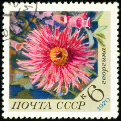Ukraine - circa 2018: A postage stamp printed in USSR show flower Dahlia. Series: Flowers. Circa 1970.