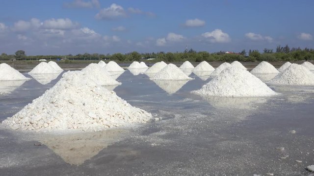 Salt field. The raw white salt field on a sunny day. Royalty high-quality free stock video footage of white salt field in a beach village. Salt is an important food for people