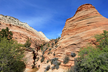 Colorful landscape and mountains, Zion National Park, Utah, USA