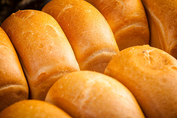Close-up of fresh white bread in rolls stands in even rows in a bakery