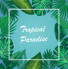 Vector illustration of Summer Tropical Leaves.