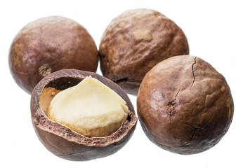 Macadamia nuts or bush nuts isolated on white background.