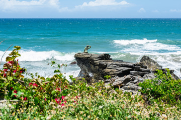 Wild tropical coast next to Caracas (Vargas, Venezuela).