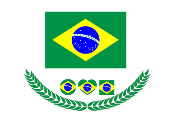 Brazil Flag vector illustration. Brazil Flag. National Flag of brazil on white background