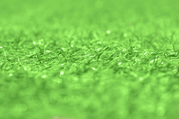 green grass field in focus and out of focus