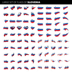 Slovenia flag, vector illustration