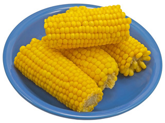 Ear of Corn