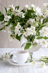 Obraz na płótnie Canvas Jasmine fragrance flower