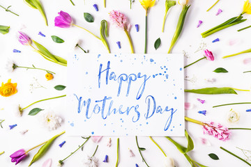 Mothers day composition. Flowers on white background. Studio shot.