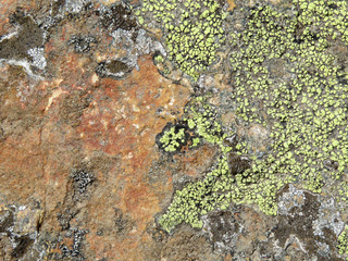 Old stone surface covered with lichen and moss. Natural stone texture background