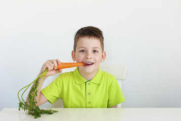 one young brunette boy eating carrot