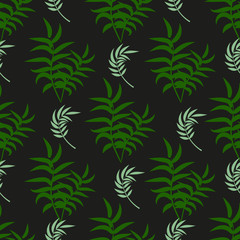 Fototapeta na wymiar Tropical pattern palm summer green palm leaves black background.