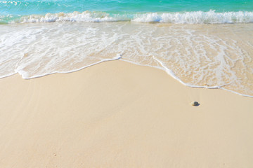Beach sea sand background