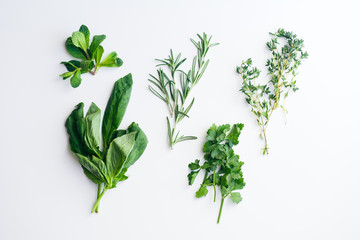 Fresh herbs on white background: rosemary, thyme, mint and parsley in small bunches isolated