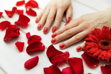 beautiful finger nails with red nail polish and petals perfect manicure