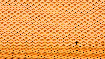 pattern of classic orange baked clay roof