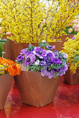 Bouquets of beautiful anemone, ranunculus and mimosa flowers in paper flower pots at market