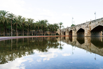 Turia park gardens in the spanish city of Valencia - palm trees and stone bridge reflected in a lake
