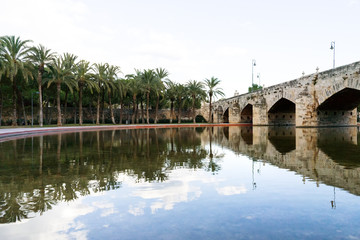 Obraz premium Turia park gardens in the spanish city of Valencia - palm trees and stone bridge reflected in a lake