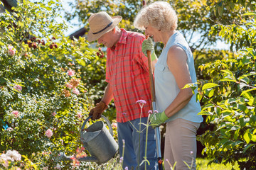 Active happy senior woman looking at camera while standing next to her husband during work in the garden in a sunny day of summer - Powered by Adobe