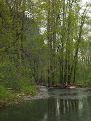 春の小川