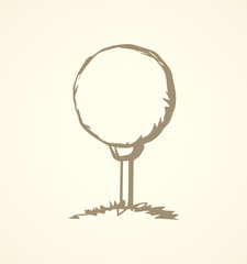 The golf ball. Vector drawing