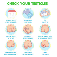 Testicles self exam. Testicle cancer symptoms and monthly examination infographics. Vector icon set.I Illustration for flyers, brochures, web resources, health centers.
