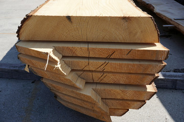 wood logs in sawmill detail - obrazy, fototapety, plakaty