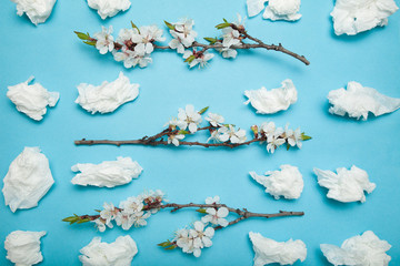 Allergy to flowering, concept. Flowering branch and nasal used napkins.