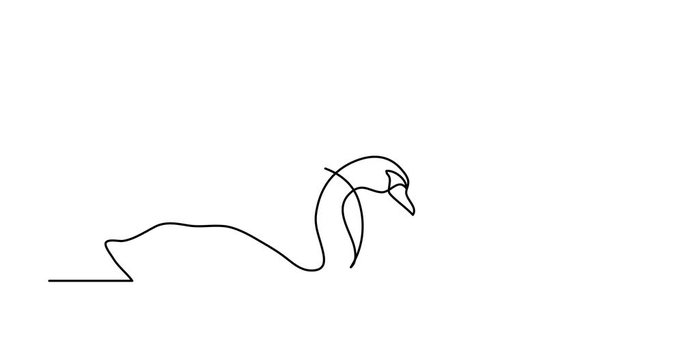 Self drawing animation of single line drawing of two swans