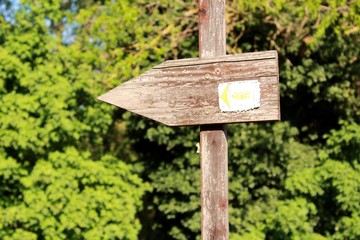 Caminadas, ejercicios al aire libre; parque natural, rio.