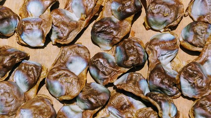 dried clams