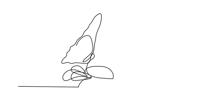 Self drawing animation of single line drawing of butterfly and flowers