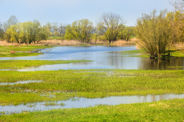 ein Sumpfgebiet mit Wiesen und Seen in einem Naturschutzgebiet in Europa