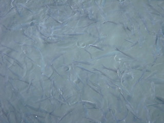 Obraz premium Agadir - Morocco