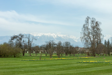 Obraz premium Green grass and mountains