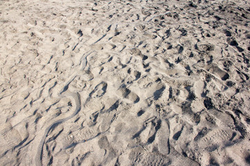 Volcanic beach sands