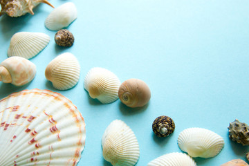 Fototapeta na wymiar Seashells flat lay pattern on blue background, sea vacation background with copy space, top view
