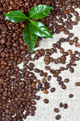 Natural background with coffee beans