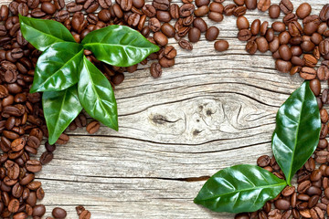 Roasted coffee beans with green leaves on wooden background