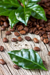 Roasted coffee beans