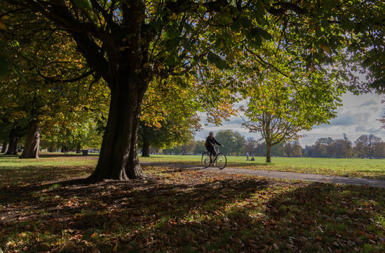 Autumn on Ealing Common