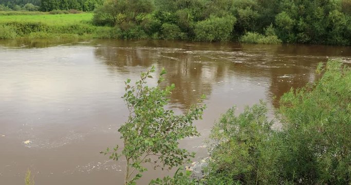 River in flood after rainfall, high water